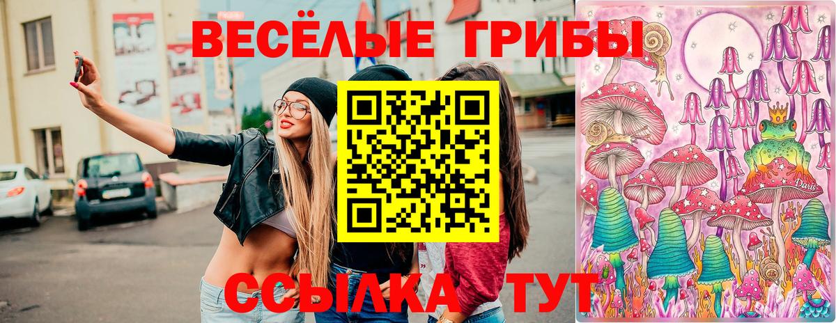 Псилоцибиновые грибы Psilocybine cubensis Углич